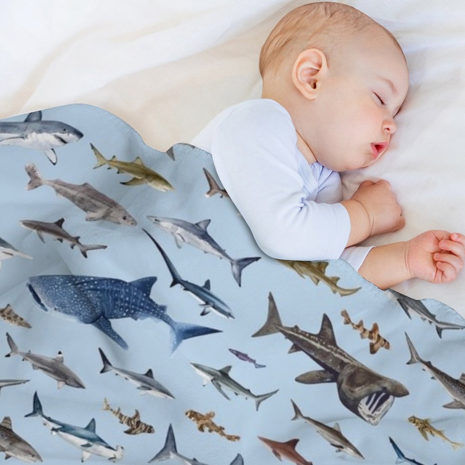 SHARKS poster-light blue Throw - đánh giá và giá Lighting Home Decor Ideas
